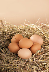 Image showing pile of brown eggs in a nest