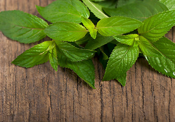 Image showing Fresh mint