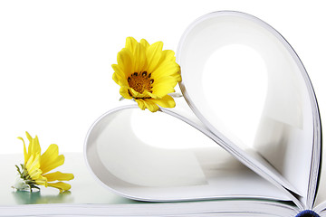 Image showing Book and Flowers