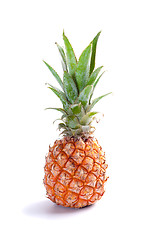 Image showing ripe  juicy pineapple
