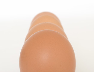 Image showing Eggs in line