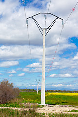 Image showing Row of rural electrical power lines