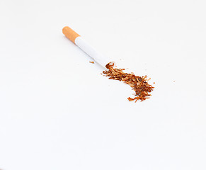 Image showing Inside a Cigarette