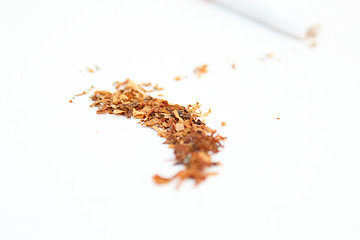 Image showing Tobacco Spilled