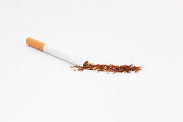 Image showing Inside a Cigarette