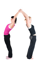 Image showing Two fitness instructors doing exercises