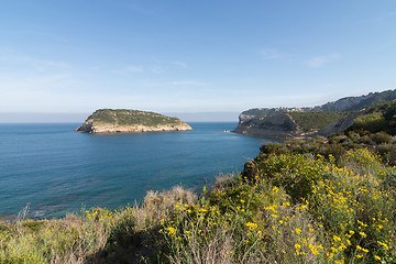 Image showing Springtime in Javea