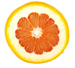 Image showing Grapefruit