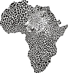 Image showing Leopard skin and head in silhouette Africa