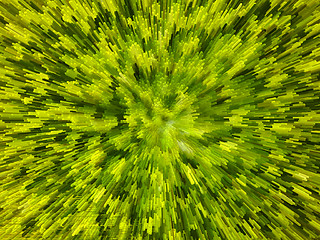 Image showing green background with abstract stripes