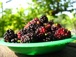 Image showing ripe dark berries of mulberry on a plate