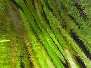 Image showing green background with abstract stripes