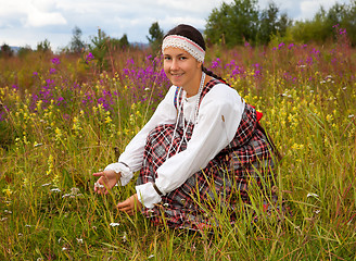 Image showing Young beautiful girl collects wild flowers