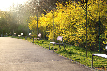 Image showing Spring trees in bloom