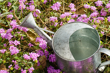 Image showing Metallic watering can
