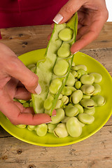 Image showing Peeling beans