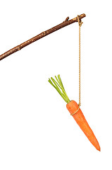 Image showing Carrot on Stick