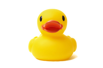 Image showing Rubber Duck