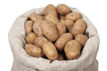 Image showing Bag With Potatoes