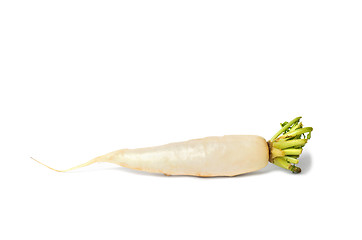 Image showing White Radish