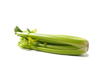 Image showing Green Celery