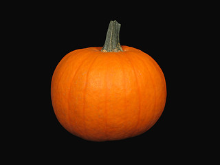 Image showing Pumpkin on black background (+ clipping path)