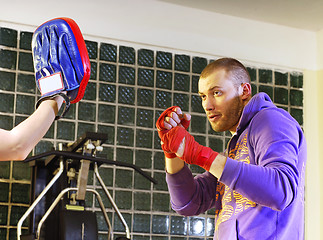 Image showing training boxer