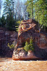 Image showing Spring landscape