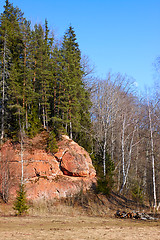 Image showing Spring landscape