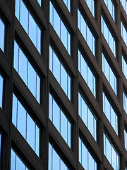 Image showing Windows of an office building