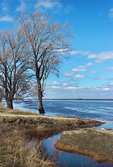 Image showing Flooded with water trees as a result of  flooding