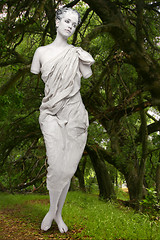 Image showing Marbe Live Statue of a Woman Outdoors