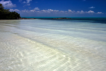 Image showing cloudy  relax and coastline in the caraibbien  