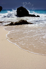 Image showing  froth  and coastline in mexico