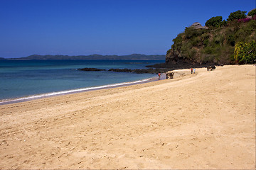 Image showing people palm  rock stone branch hill lagoon