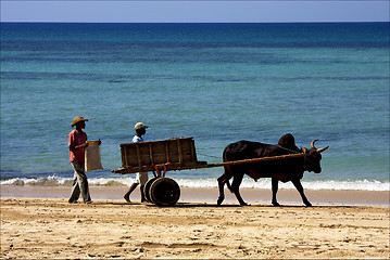 Image showing hand cart  people dustman lagoon