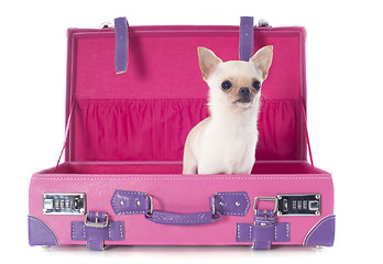 Image showing chihuahua in a box