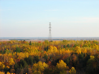 Image showing Electricity pylon and the autumn wood