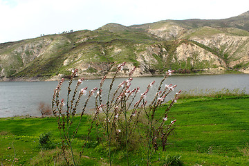 Image showing Arab Valley Dam