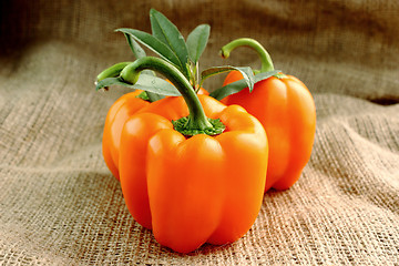 Image showing Red sweet pepper 