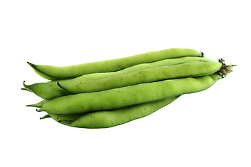 Image showing broad bean pods and beans