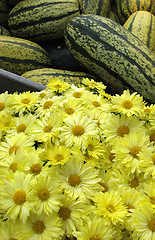 Image showing Squash and yellow chrysanthemums on a market