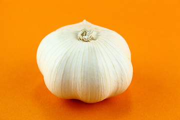 Image showing Garlic