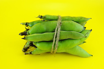 Image showing broad bean pods and beans