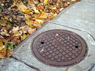 Image showing Drain cover and autumn leaves