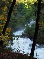 Image showing Magic mountain stream in the autumn wood