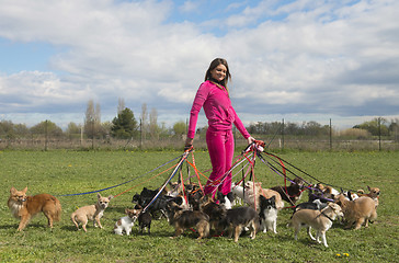 Image showing girl and chihuahuas