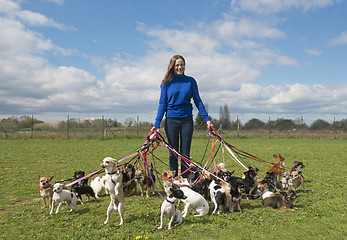 Image showing girl and chihuahuas