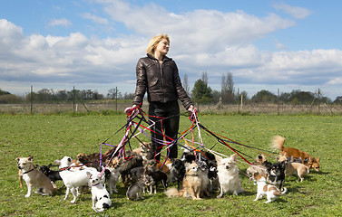 Image showing dog sitting