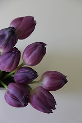 Image showing Bouquet of purple tulips